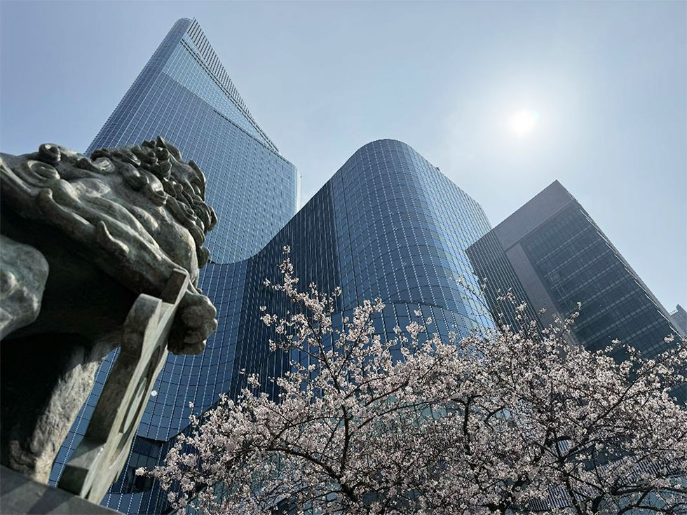 人形町通り 恒例正月提灯飾りの様子